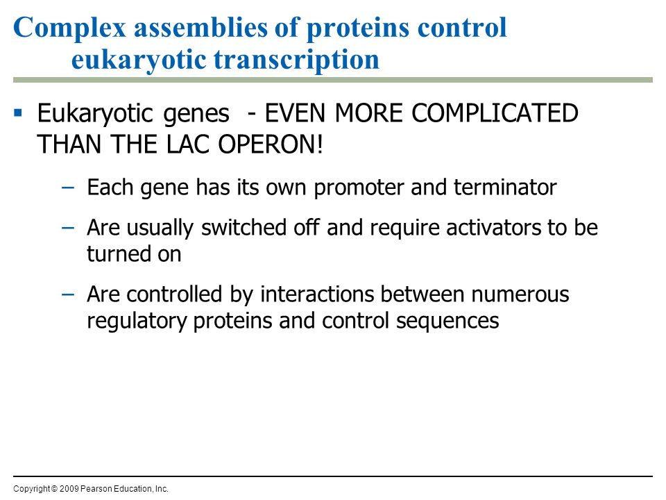 Complex assemblies of proteins control eukaryotic transcription