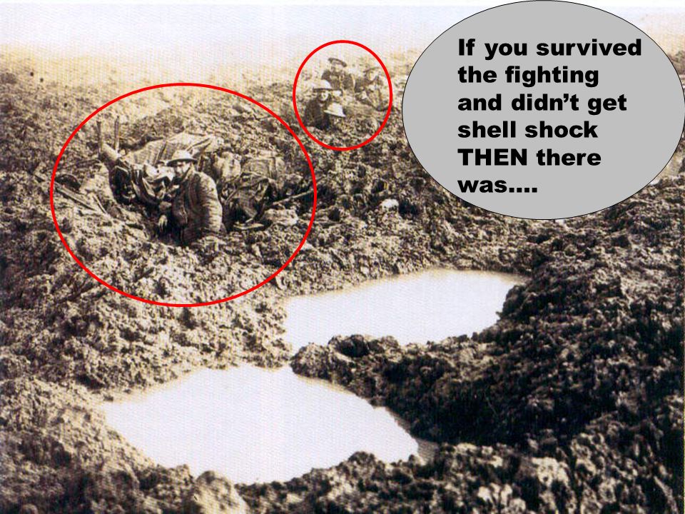 World War One Total War/Modern Warfare - ppt download