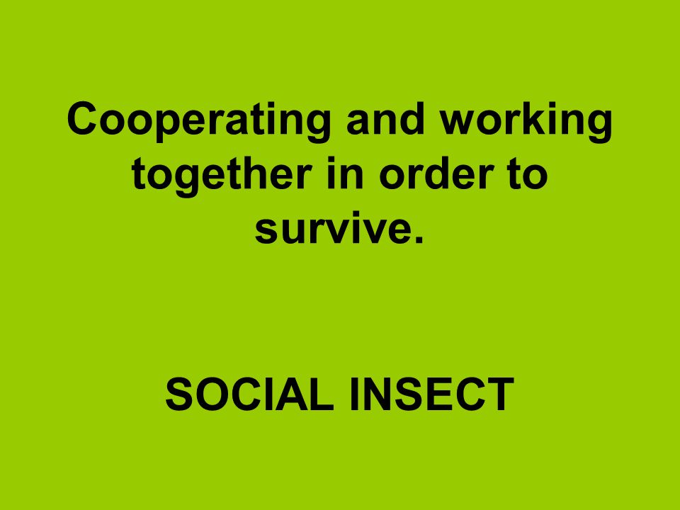 Cooperating and working together in order to survive.