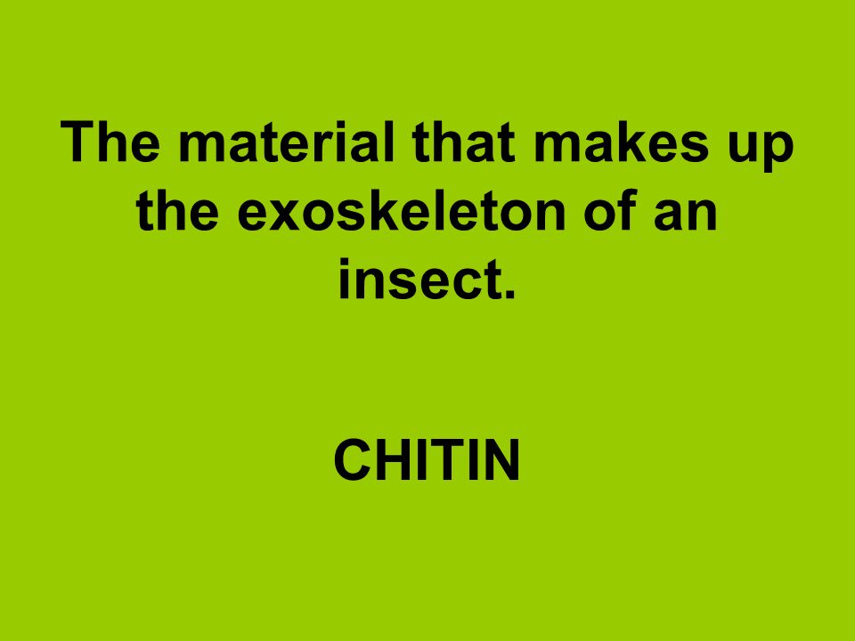 The material that makes up the exoskeleton of an insect.