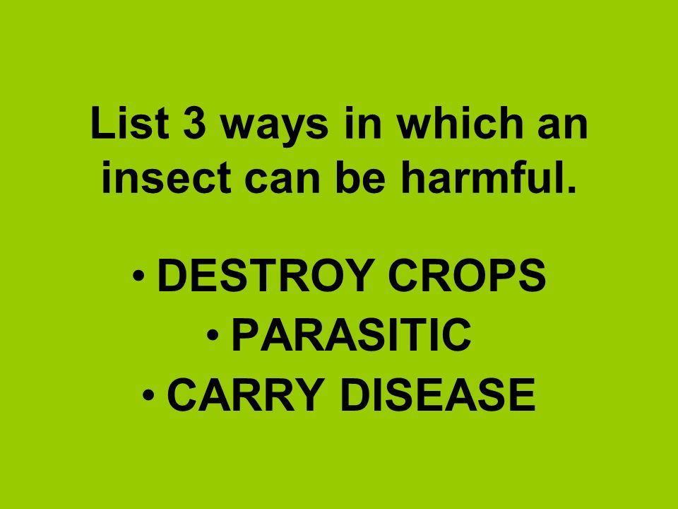 List 3 ways in which an insect can be harmful.