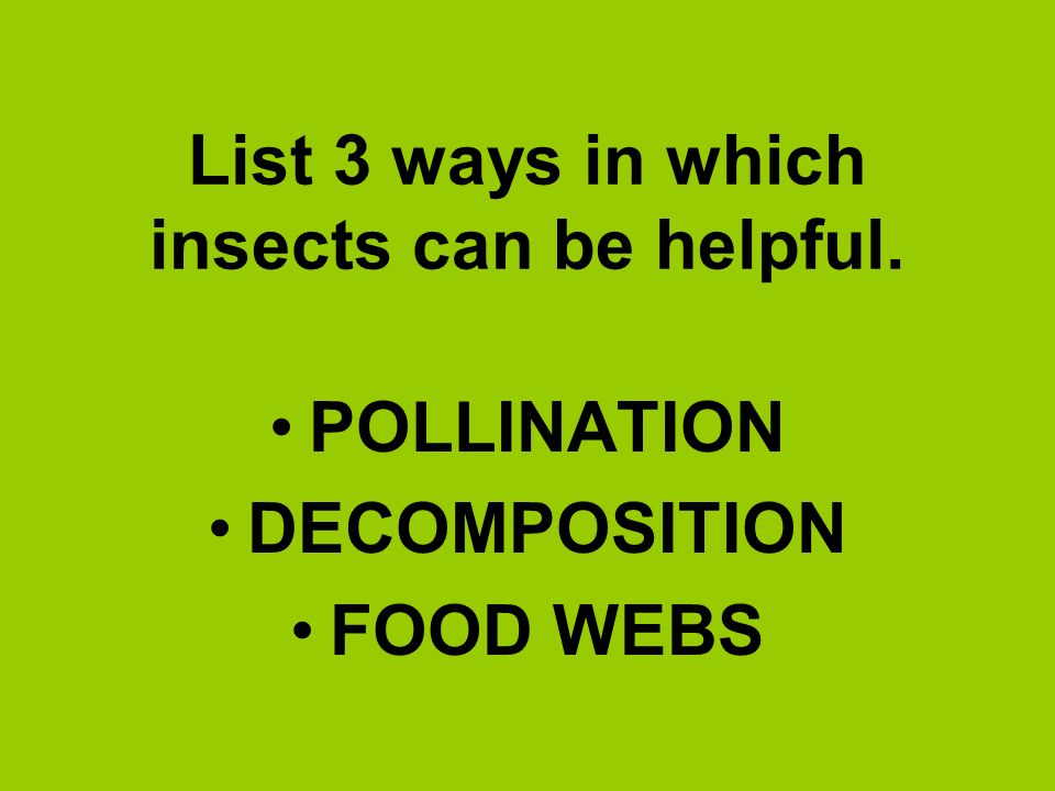 List 3 ways in which insects can be helpful.