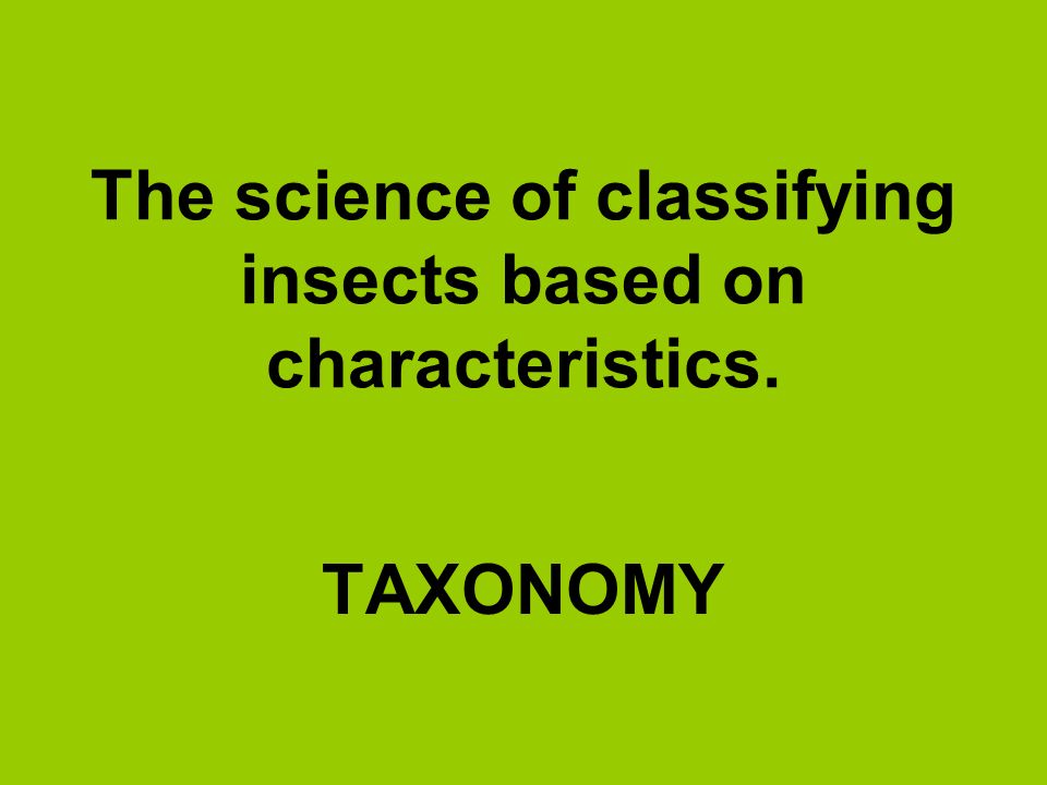 The science of classifying insects based on characteristics.