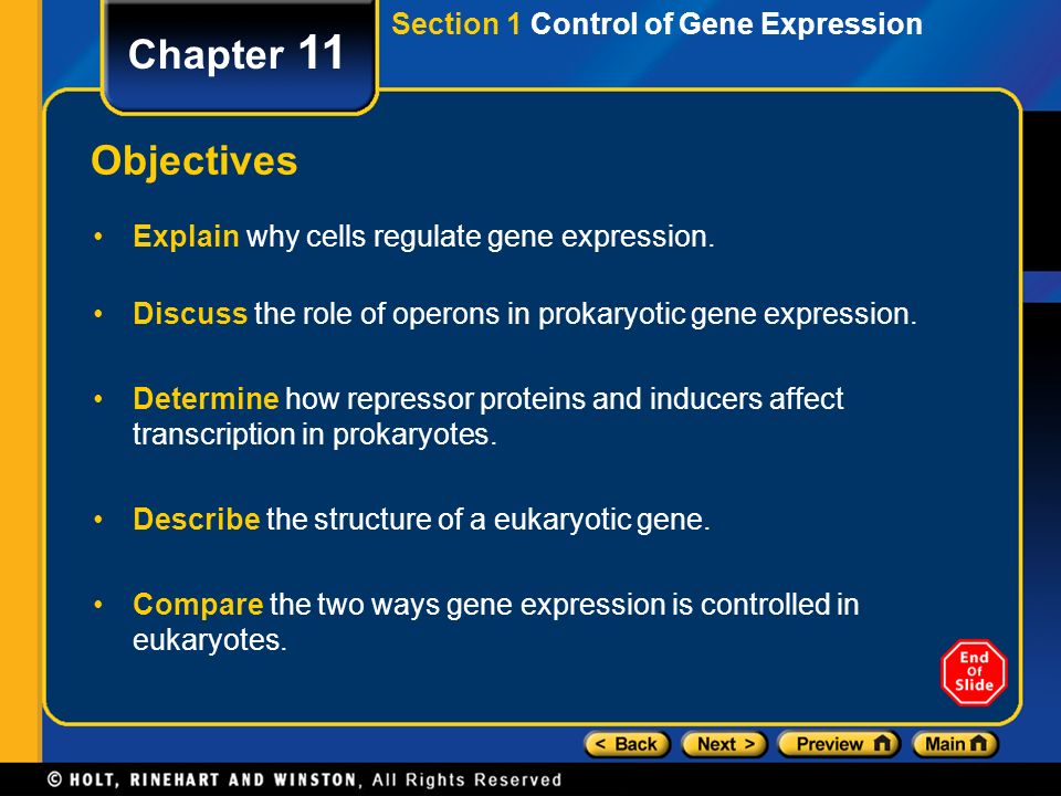 Chapter 11 Objectives Section 1 Control of Gene Expression