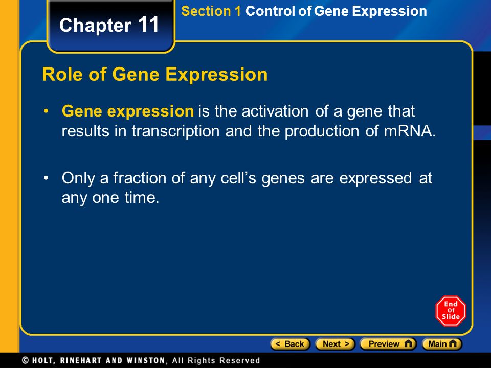 Role of Gene Expression