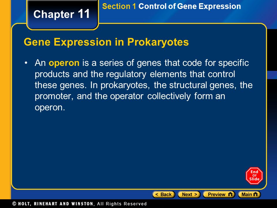 Gene Expression in Prokaryotes