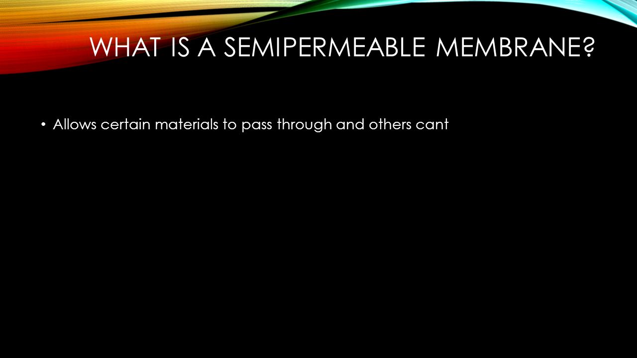 What is a semipermeable membrane