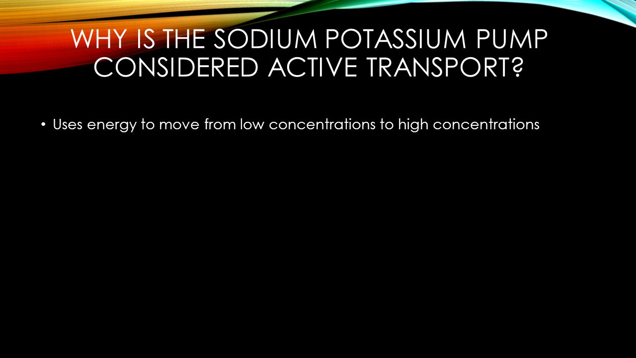 Why is the sodium potassium pump considered active transport