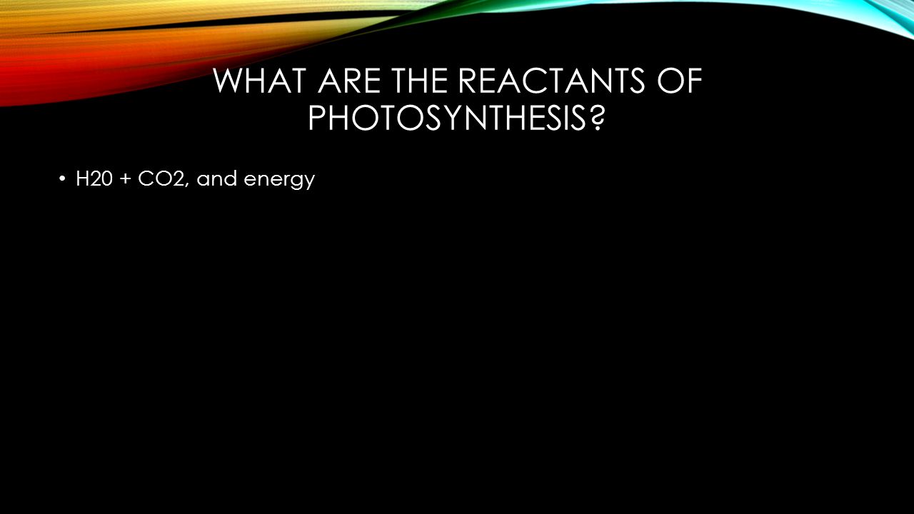 What are the reactants of photosynthesis