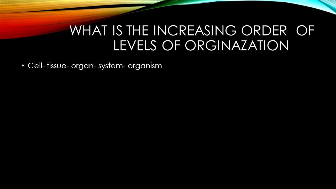 What is the increasing order of levels of orginazation
