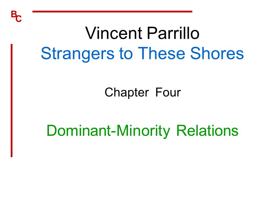 causes of prejudice by vincent parrillo summary