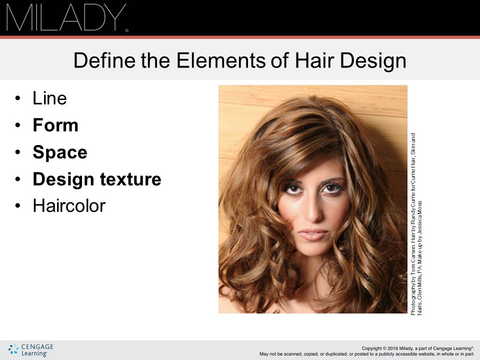 Principles of Hair Design - ppt download