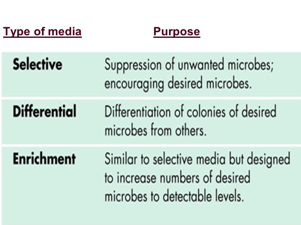 Differential and Selective Media Prepared BY Ms. c: Abed Al Rahman I - ppt  video online download