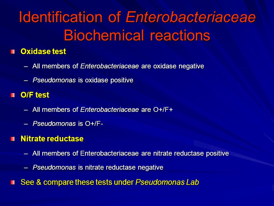 Differentiation Of Enterobacteriaceae By Biochemical Tests Chart