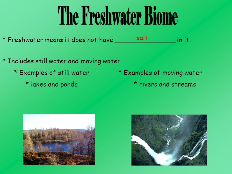 The Freshwater Biome salt