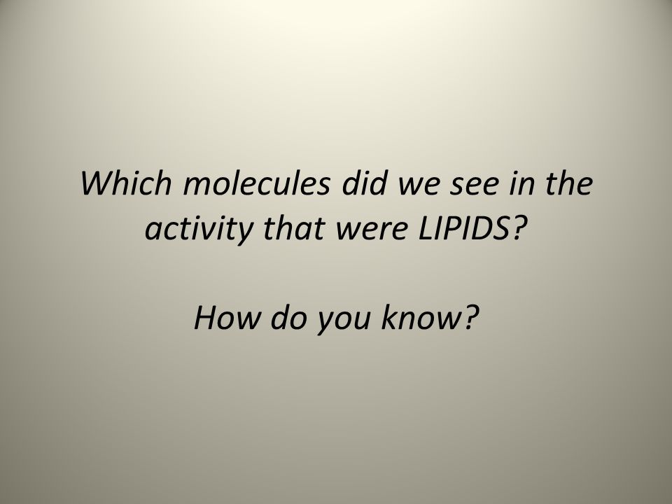 Which molecules did we see in the activity that were LIPIDS