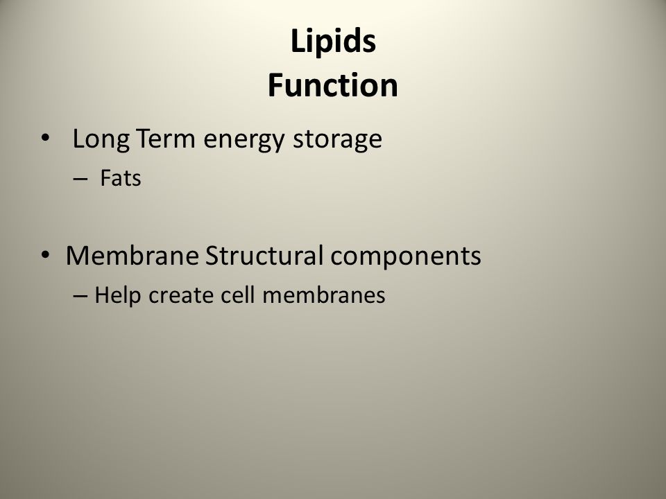 Lipids Function Long Term energy storage