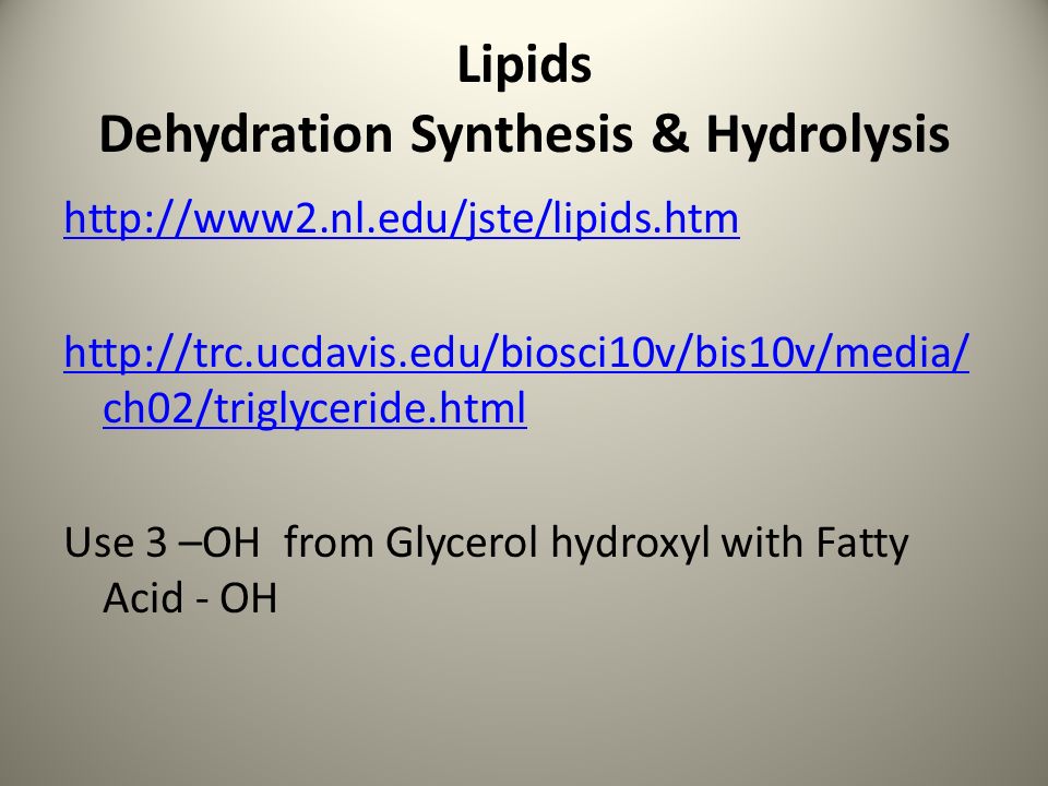 Lipids Dehydration Synthesis & Hydrolysis