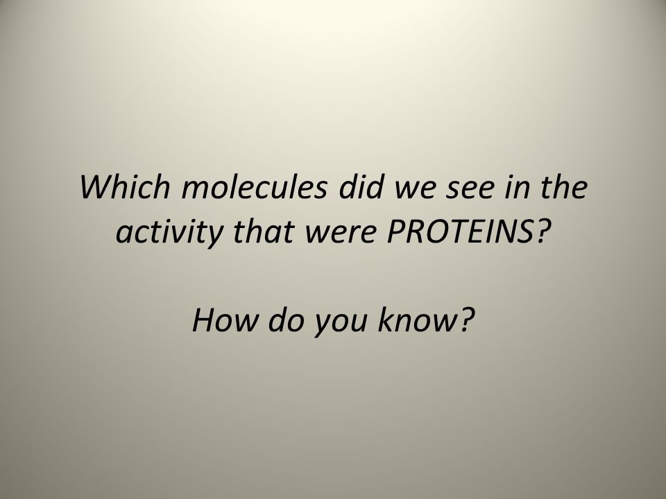 Which molecules did we see in the activity that were PROTEINS