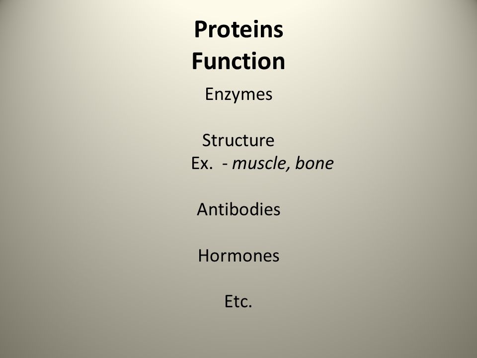 Proteins Function Enzymes Structure Ex. - muscle, bone Antibodies