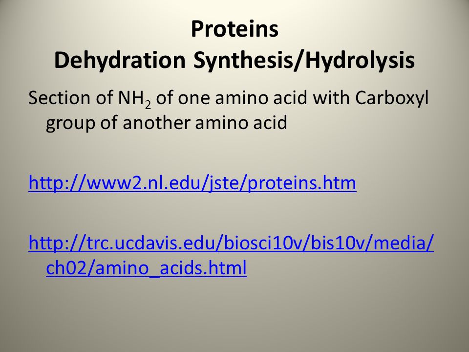 Proteins Dehydration Synthesis/Hydrolysis