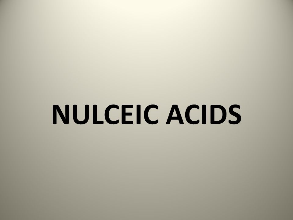 NULCEIC ACIDS