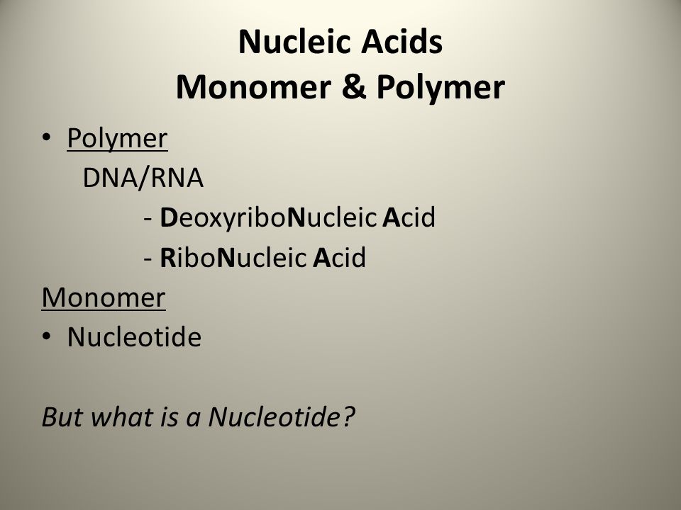 Nucleic Acids Monomer & Polymer