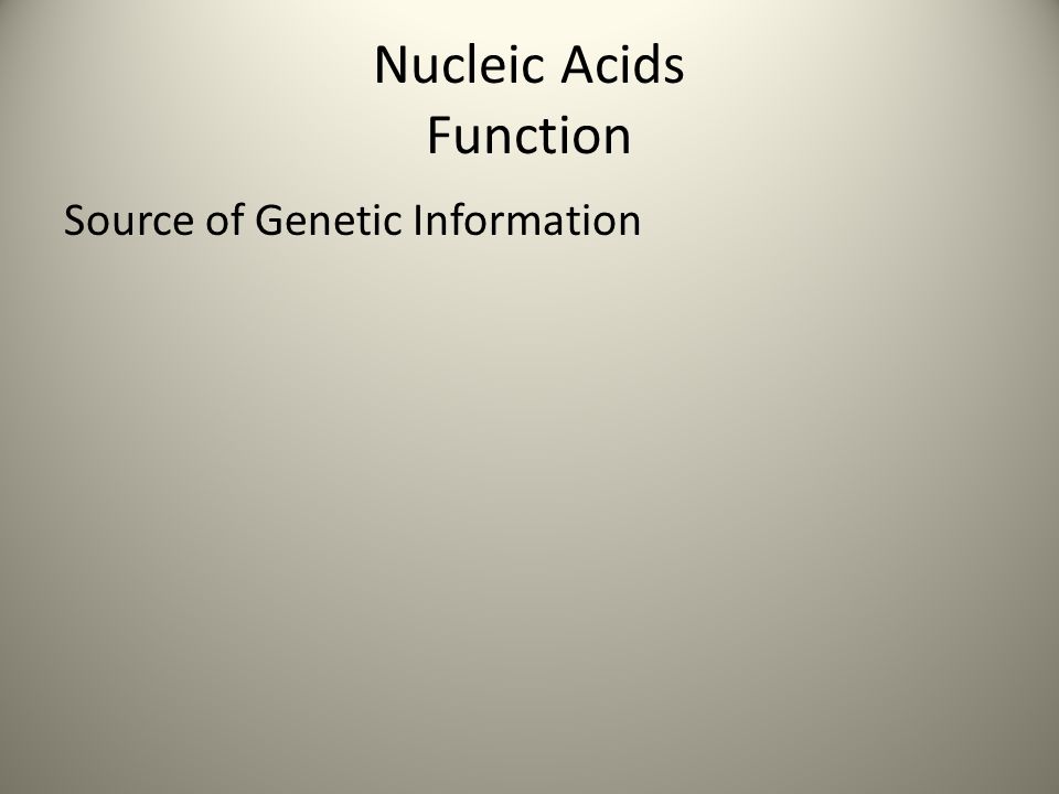 Nucleic Acids Function