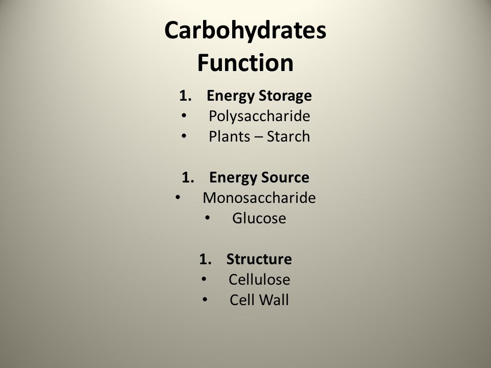 Carbohydrates Function