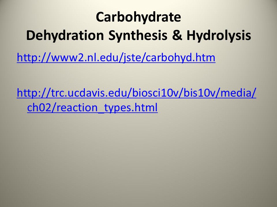 Carbohydrate Dehydration Synthesis & Hydrolysis