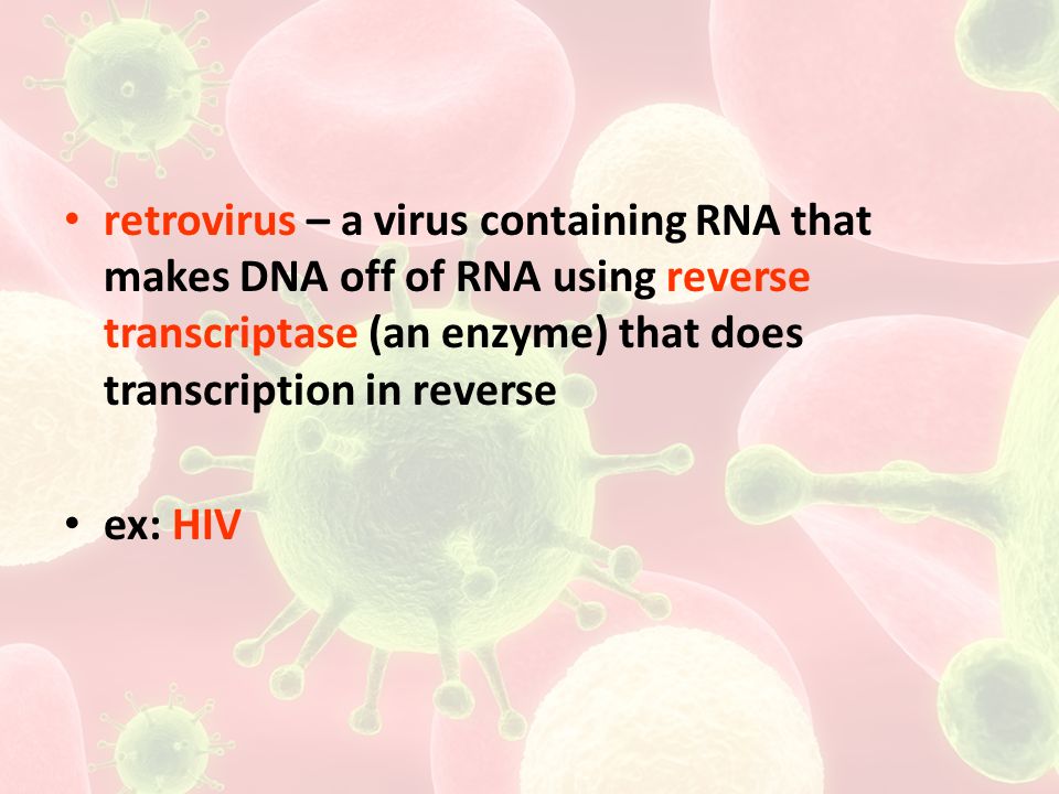 retrovirus – a virus containing RNA that makes DNA off of RNA using reverse transcriptase (an enzyme) that does transcription in reverse