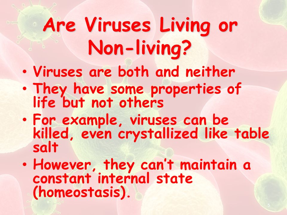Are Viruses Living or Non-living