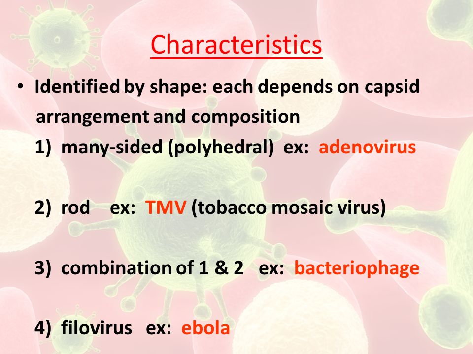 Characteristics Identified by shape: each depends on capsid