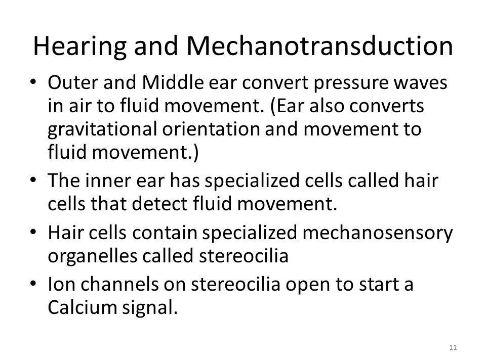 Hearing and Mechanotransduction