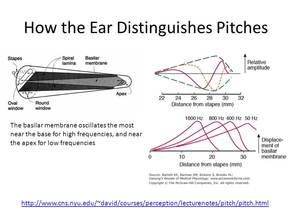 How the Ear Distinguishes Pitches