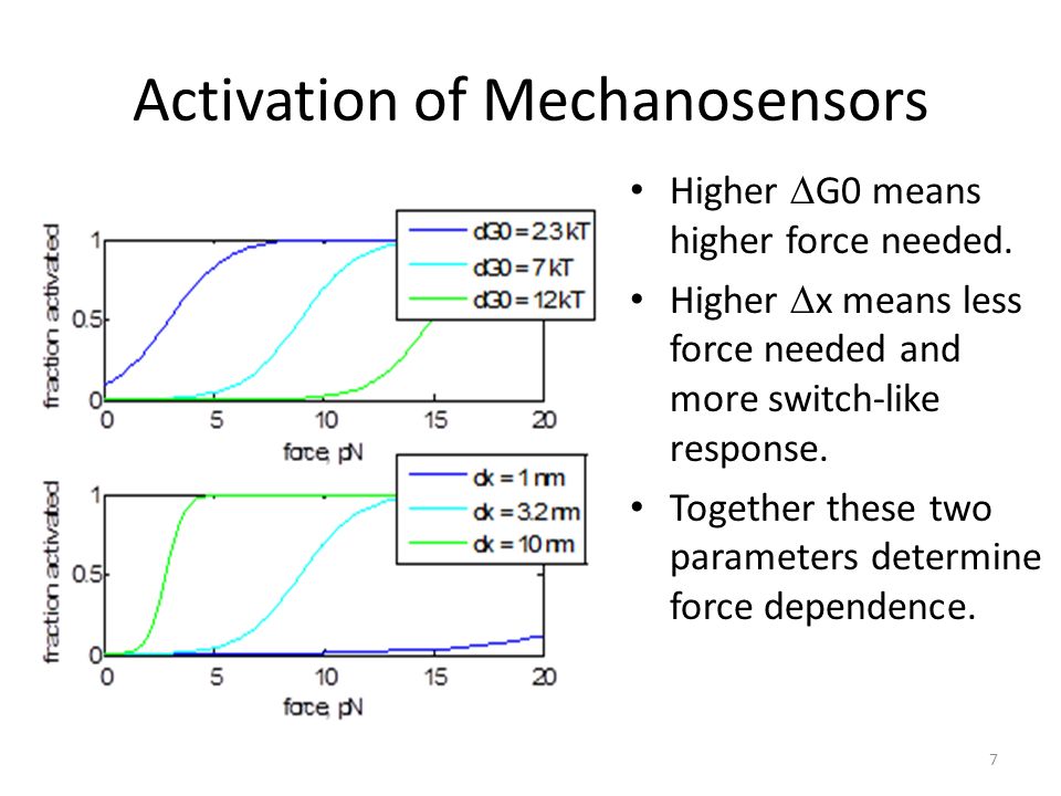 Activation of Mechanosensors