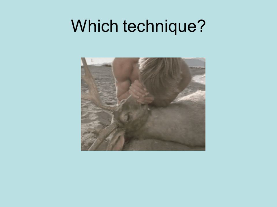 Which technique