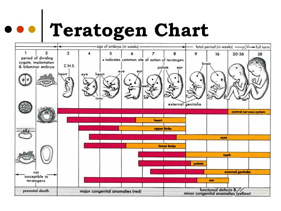 Teratogen Chart