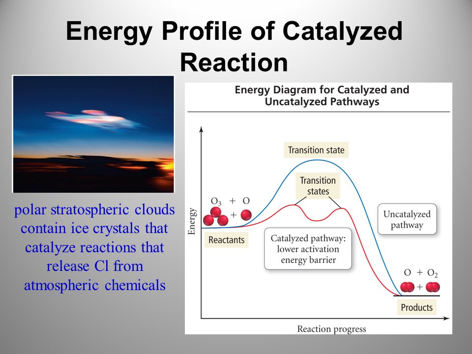 Energy Profile of Catalyzed Reaction