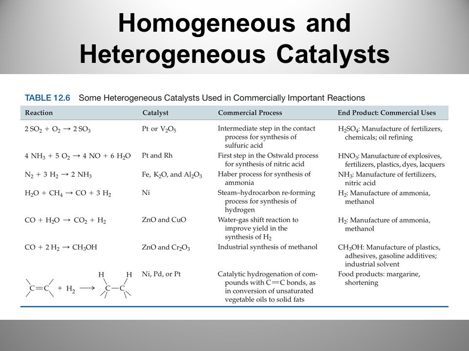 Homogeneous and Heterogeneous Catalysts