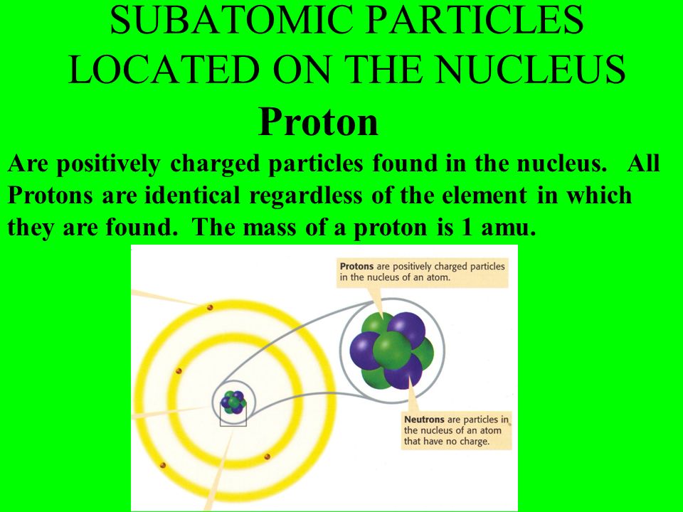 SUBATOMIC PARTICLES LOCATED ON THE NUCLEUS