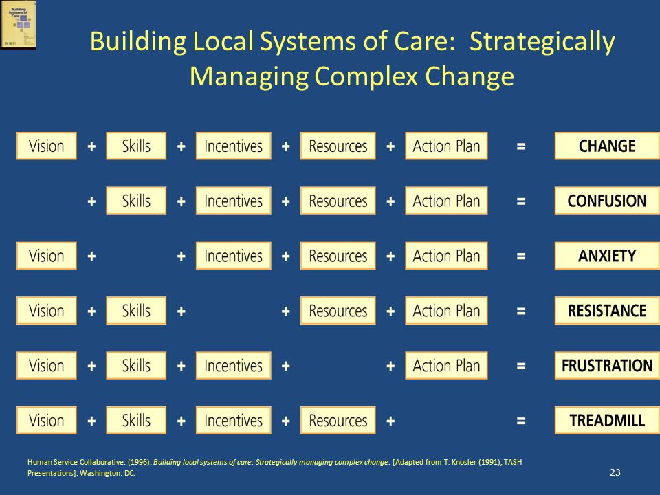 Building Local Systems of Care: Strategically Managing Complex Change