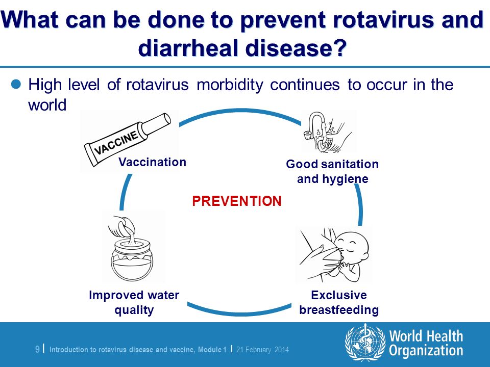 Module 1 Introduction To Rotavirus Disease And Vaccine - Ppt Video Online  Download