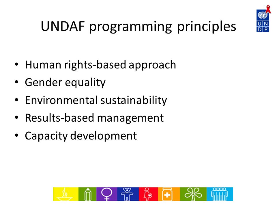 UNDAF programming principles