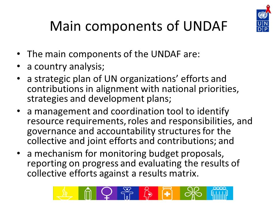Main components of UNDAF