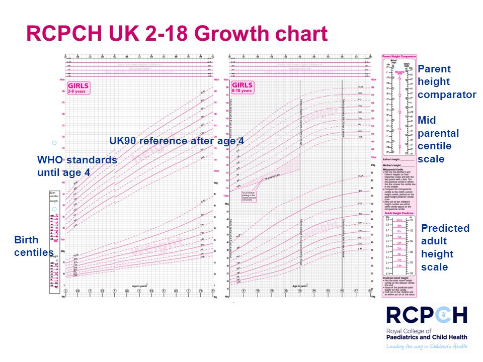 Child Height Centile Chart