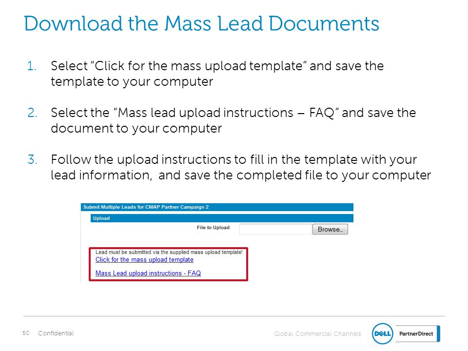 Download the Mass Lead Documents