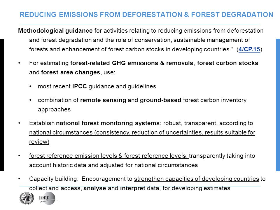 REDUCING EMISSIONS FROM DEFORESTATION & FOREST DEGRADATION