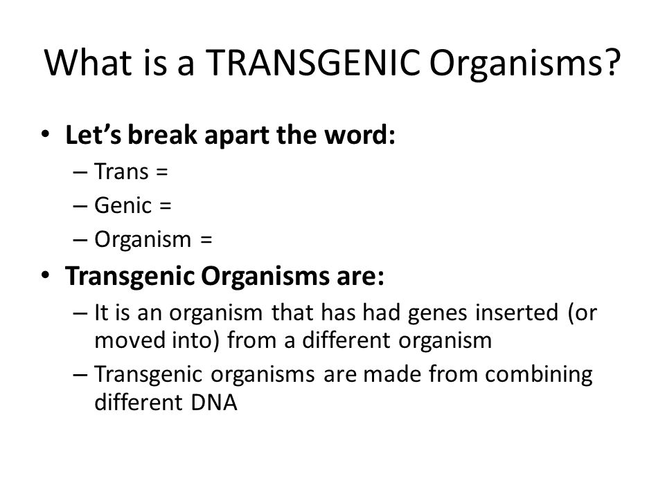A Transgenic Organism Is: : Genetically Modified Organisms An Overview And Its Applications - This image (to the right) (courtesy of r.