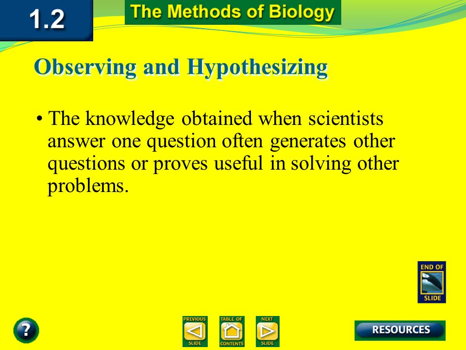 Observing and Hypothesizing